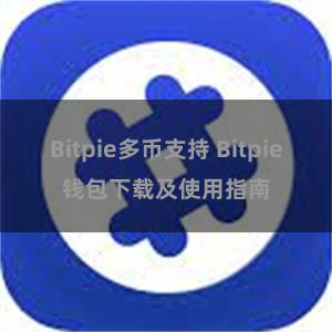 Bitpie多币支持 Bitpie钱包下载及使用指南