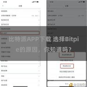 比特派APP下载 选择Bitpie的原因，你知道吗？