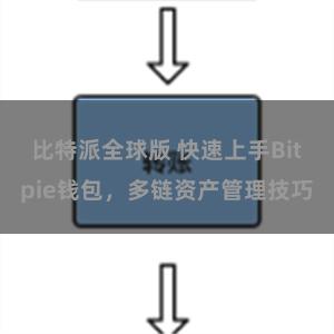 比特派全球版 快速上手Bitpie钱包，多链资产管理技巧