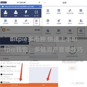 Bitpie多币种 快速上手Bitpie钱包，多链资产管理技巧