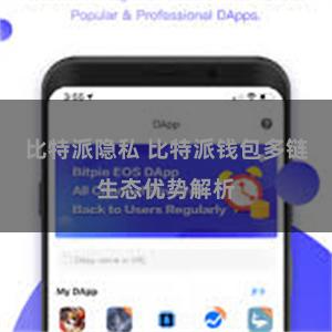 比特派隐私 比特派钱包多链生态优势解析