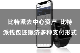 比特派去中心资产  比特派钱包还赈济多种支付形式